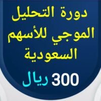 دورة التحليل الموجي ( موجات إليوت )